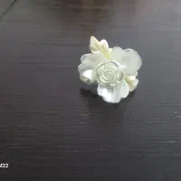 گل شنییون از ۳۰ تومن