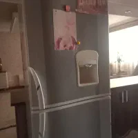 یخچال فریزر دودرب