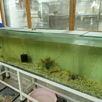 فروش اکواریم بزرگ