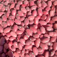 لوبیا چیتی و لوبیا قرمز ایرانی وانواع حبوبات|عمده‌فروشی|کرمان, |دیوار