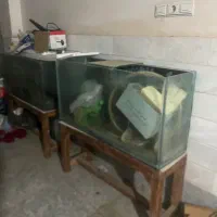 آکواریوم دست ساز