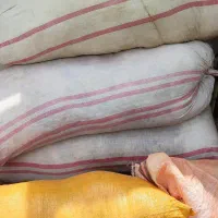 پشم گوسفند سفید تمیز