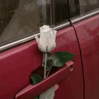 فال احساسی پاسور