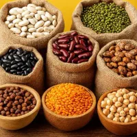 پخش حبوبات به قیمت عمده و چکی