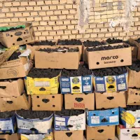 شوش روستایی میان اب