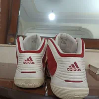 کتونی آدیداس ۵۱|کیف، کفش، کمربند|شمشک, |دیوار