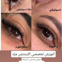 آموزش تخصصی اکستنشن و شنیون