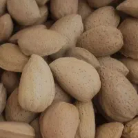 بادام اقلید