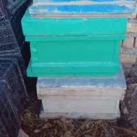 ۲  عدد کندو ،۲ تا طبق سالم در حد، پوکه سالم تمیز