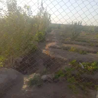باغچه ۵۰۰ متری لنگرود|فروش زمین و ملک کلنگی|قم, مجیدیه|دیوار