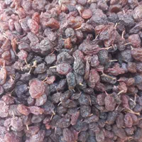 کشمش مویز خرما بیهسته هسته دارانجیرشیره خرماضایعات|خوردنی و آشامیدنی|همدان, |دیوار
