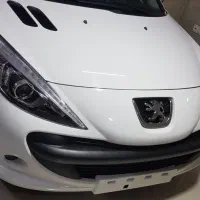 راننده شخصی و خدمتکار