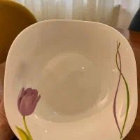 سرویس ۵۲ پارچه آرکوپال|ظروف سرو و پذیرایی|اردبیل, |دیوار