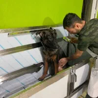 وان شستشوی مخصوص حیوانات