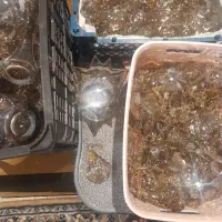 کریستال  لوستر  تعدادی