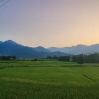 زمین-مسکونی-مرکیه-ماسال-سنددار