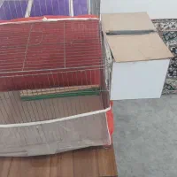 قفس کاسکویی|لوازم جانبی حیوانات|تربت جام, امام|دیوار