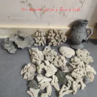 سنگ و مرجان وکوزه آکواریوم