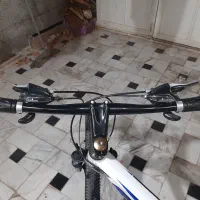 دوچرخه ۲۶|دوچرخه، اسکیت، اسکوتر|قم, چهل درخت|دیوار