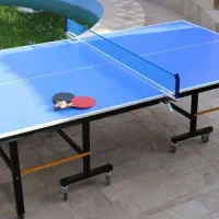 تولید کننده میز های پینگ پنگ p60
