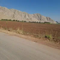 زمین کشاورزی آبی روبروی الکل سازی با موقعیت ممتاز|فروش دفتر صنعتی، کشاورزی، تجاری|خرم‌آباد, |دیوار