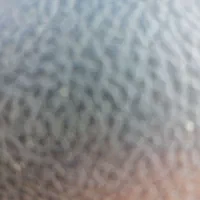 کیف دستی زنانه مشکی گم کرده ام