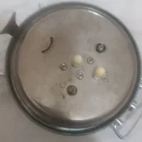 ساعت رومیزی سیکوکرونا نایاب|کلکسیون اشیاء عتیقه|تبریز, |دیوار