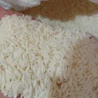 برنج هاشمی درجه یک