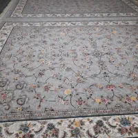 فرش ۱۲متری سالمه|فرش|ایجرود, |دیوار