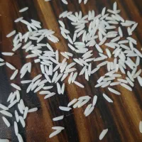 برنج دم‌سیاه ارگانیک شمال خراسان کشت خودمان