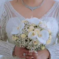 لباس عروس فروشی برای عروس ها و سالن های زیبایی|لباس|تهران, تهرانپارس جنوبی|دیوار