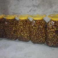کاندش شور درجه یک عالی کاندس جنگل