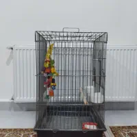 قفس پرنده