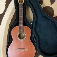 گیتار پارسی m6 کاملا نو همراه با دو کیف