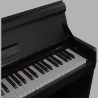 NUX WK-310|پیانو، کیبورد، آکاردئون|قزوین, |دیوار