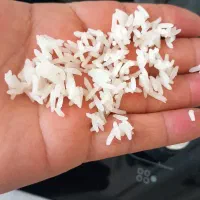 برنج هاشمی ، طارم ، فجر سوزنی ، لاشه