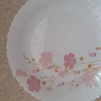 سرویس ارکوپال