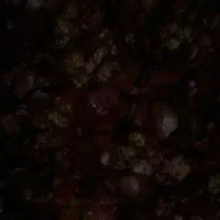 فروش پوست انار خوراک دام