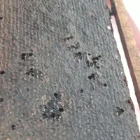 عسل|خوردنی و آشامیدنی|تسوج, |دیوار