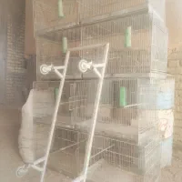 قفس ۸خان جوجه پرون|لوازم جانبی حیوانات|اقلید, |دیوار