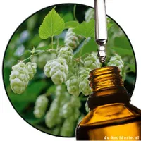 عصاره گیاه رازک،تلخ کننده طبیعی دلستر و آبجو