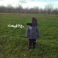 کاپشن وکفش|لباس|نهاوند, |دیوار