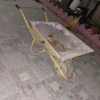 فرغون