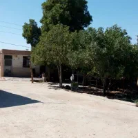 مرغداری،دامداری،کشاورزی ،پرورش قارچ|فروش دفتر صنعتی، کشاورزی، تجاری|جوادآباد, |دیوار