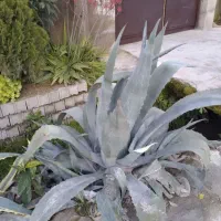 دوخوابه تمیز مبله حیاط دار با پارکینگ