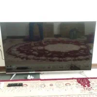 تلویزیون 55 اینج اسنوا