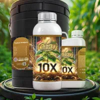 کود تخصصی زعفران، افزایش گلدهی