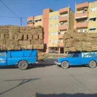 کاه گندم شالی لوبیا