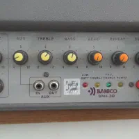 اکو آمپلی بانیکو