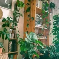 اجاره آپارتمان/2خواب /100متر/تک واحدی/عراقی ها